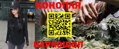 кокс Нальчик