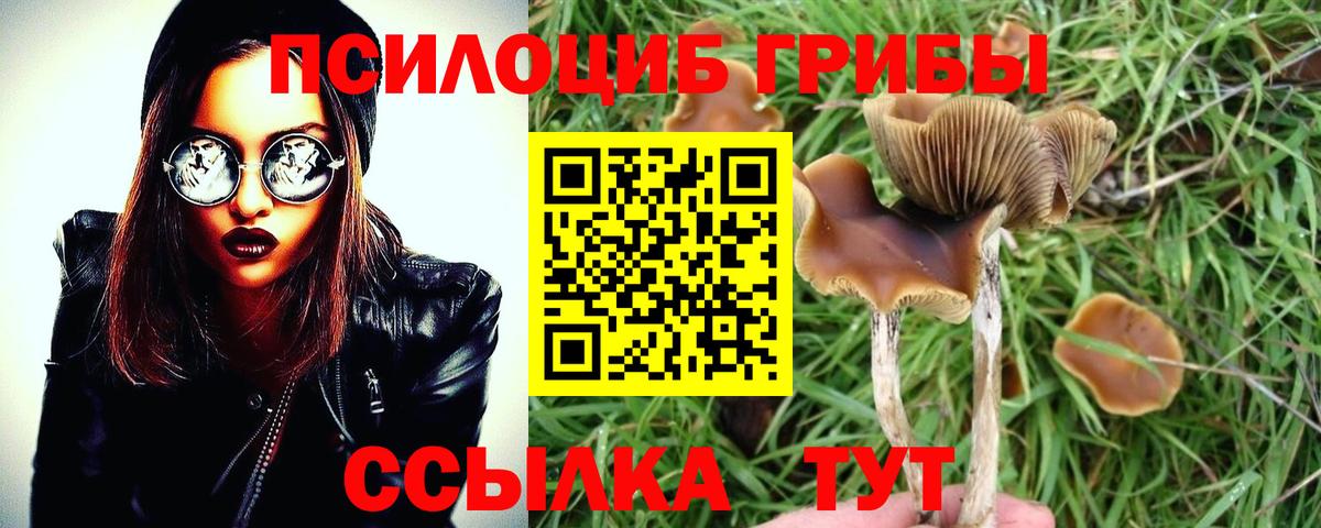 Псилоцибиновые грибы мицелий  Вход с VPN  Урай 